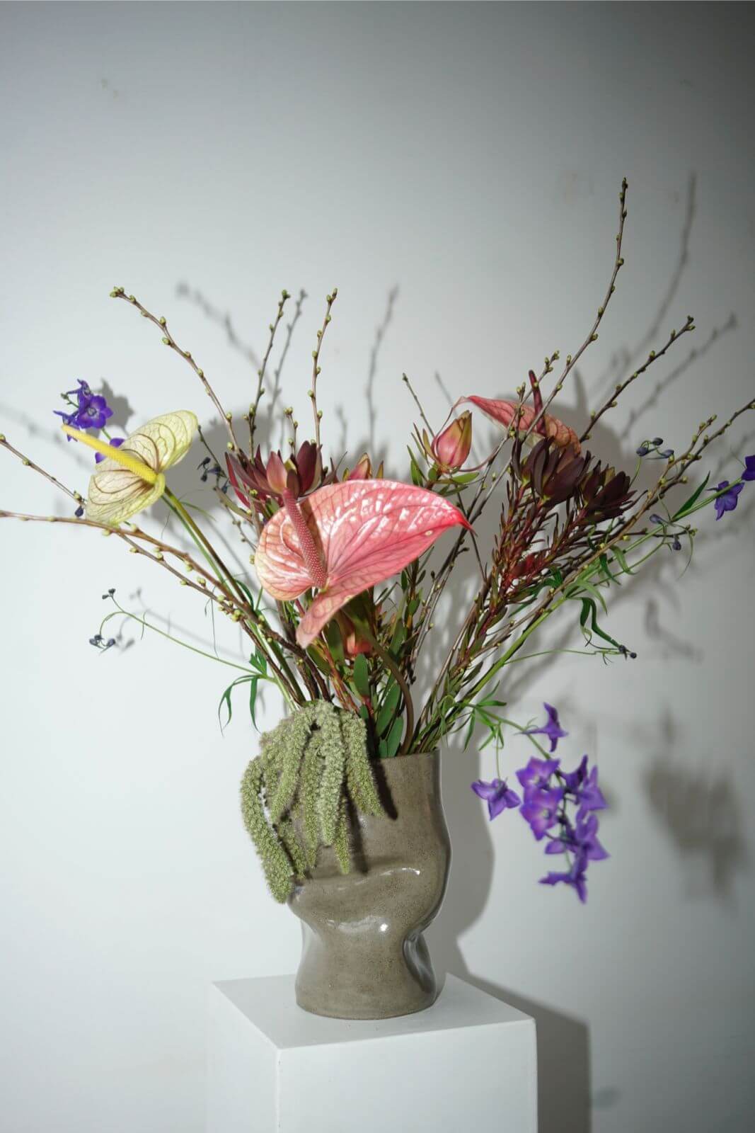 il-pleut-des-fleurs-ramon-flower-packshot-soda-stories